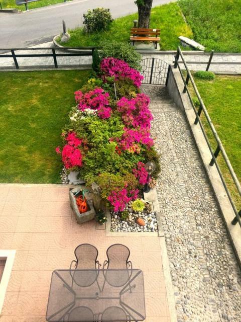 فيلا Azalea Di Gigliola Ziello - "Casa Azalea" كريميا المظهر الخارجي الصورة